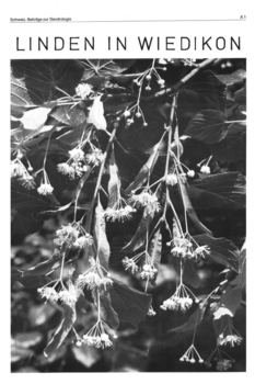 Jahrbuch 23-30 | 1971-1980