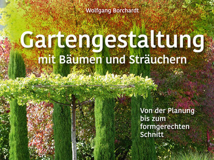 Gartengestaltung mit Bäumen und Sträuchern