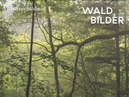 Waldbilder – mit einem Essay von Peter Stamm