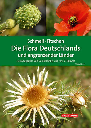 Die Flora Deutschlands und angrenzender Länder