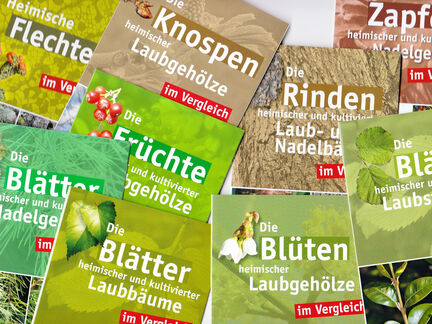 Bestimmungskarten-Set heimische und kultivierte Laub- und Nadelgehölze im Vergleich