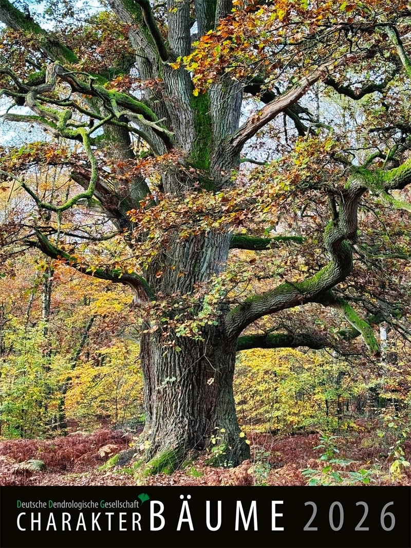 Wandkalender: Charakter Bäume 2026