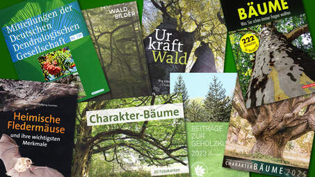 Publications / books